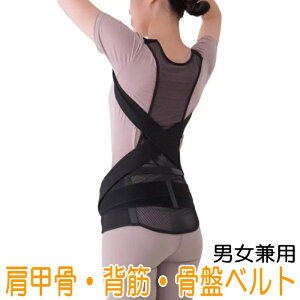 ����ɂ��� ���b�V�� �w�؃T�|�[�^�[ �j�����p S/M/L (���Ճx���g ���ՃT�|�[�^�[ ���b���x���g ���b���T�|�[�^�[ �w�؃x���g �w�؃T�|�[�^�[ ���b�� �w�؂̂΂� �w�ؐL�΂� �w�� �T�|�[�^�[)