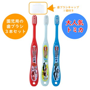 g~J p uV 炩 3{ Lbv1t (3`5)  14cm g~J23 TB5ST 3P TOMICA ͂Ԃ炵  ݂ ct ۈ牀  LbY q ǂ qǂ LN^[ XP[
