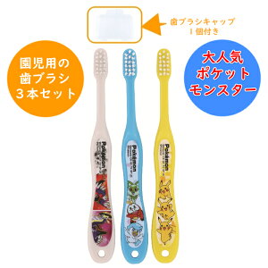 |PbgX^[ p uV 炩 3{ Lbv1t (3`5)  14cm |PbgX^[23 |P TB5ST 3P ͂Ԃ炵  ݂ ct ۈ牀  LbY q 