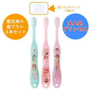 vZX p uV 炩 3{ Lbv1t (3`5)  14cm TB5ST 3P ͂Ԃ炵  ݂ ct ۈ牀  LbY q ǂ qǂ LN^[ XP[^[ SKATER