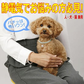 静電気除電 スノーチャーム ペットネックレス (ブレス) 静電気 除去 除電 ペット用 ネックレス 雪の結晶 犬 猫