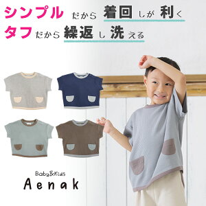 Vv^tIj̎q j[x[VbN TVc ۈ牀 ct wŊTCYF100 110 120 J[F`R[ lCr[ u[O[ ( _[NuE ) T Vc eB