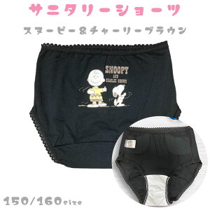 Tj^[V[c TI WjA |Pbgt (ivLjTj^[V[c WjA 150cm 160cm LN^[pc Xk[s[ ݂R炵 N~ nMh pV