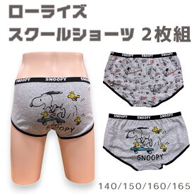 【2025AW】スヌーピー ローライズ スクールショーツ 女の子 ショーツ グレー2枚組 ローライズ ジュニアインナー 子供用肌着 スヌーピー 下着 パンツ小学生　中学生 高校生 サイズ：140 150 160 165