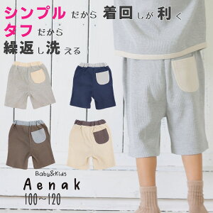 Vv^tIj̎q j[x[VbN 100 110 120TCY Y{ pc Zp n[tpcۈ牀 ct wŊJ[F`R[ lCr[ (_[NuE) Cgx