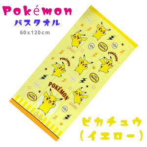 qp oX^I |P ^I |PbgX^[ sJ`E ^I LbYp q oX^I (60x120cm) / sJ` j̎q ̎q jZbNX w ct ۈ牀 w