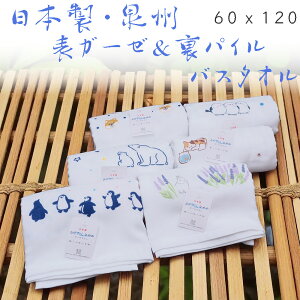 BK[[^I oX^I (̓pCn / K[[pCj{ K[[oX^I (60x120cm) \ʃK[[ ȃpCn GƋzǂI킢@Aj}q oX^