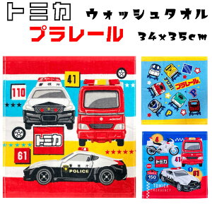 g~J v[ EHbV^I  / V nJ`TCY 34×35cmً}ԗ pgJ[ hN^[CG[ ctEwZEƂoɎ₨̐玞 ֗