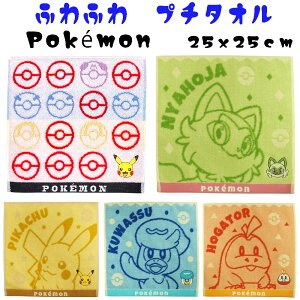 y 2025ŐVzQ / ʎ WK[hD |P v`^I ӂӂ hJt nJ`i25x25cmj~j ^I nh^I LN^[^I |P zQ[^ jIn 