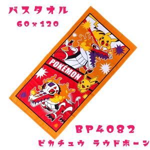 |P oX^I qp |PbgX^[ qpoX^I@LbYp q oX^I (60x120cm) sJ`E@U[hjj̎q w v[p^I X|[c^I