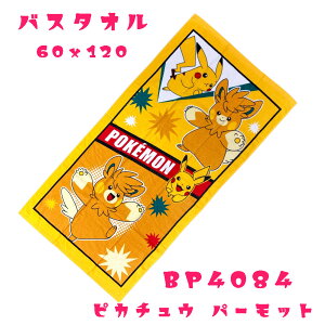 |P oX^I qp |PbgX^[ qpoX^I@LbYp q oX^I (60x120cm) sJ`E@U[hjj̎q w v[p^I X|[c^I