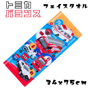 g~J v[ tFCX^I ^I  / V nh^I 34×80cm / 34x75cm ً}ԗ pgJ[ hN^[CG[ ctEwZEƂoɎ₨̐