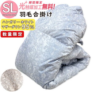 yʌztHp Hэ|zc nK[Y zCg}U[_bN_E95 VOOTCY Hя[U0.6kg _Ep[440 { Hъ|zc |zc HтӂƂ