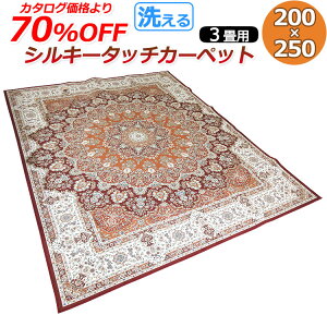 【2500円光触媒加工無料!】ウォッシャブル シルキー タッチ カーペット 長方形 200×250cm 3畳用 毛足の短い 超短毛タイプ 洗える 丸洗い 裏面 滑り止め加工付き マット ギフト インテリア