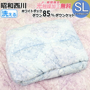 y2500~G}HIzyaz_E85 EHbVuHє|zc 150×210cm VOO zc  ͂ _EPbg ėpPbg HуPbg ې 􂦂 SL y