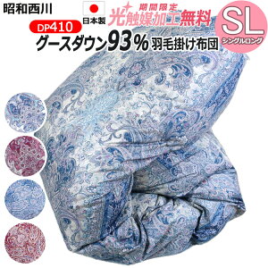 y2500~G}HIza Hѕzc |[hYzCgO[X_E93iVOOE150×210jDP410 { n100 60Te VOTCY wLg ~pH