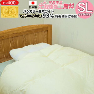 y2500~G}HIzy{zHэ|ӂƂyCS[hxznK[YyzCg}U[O[X _E93zy_Ep[420ȏzVO VOO 1