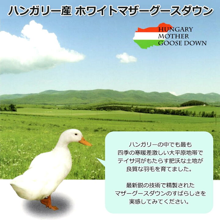 楽天市場】【2500円光触媒加工無料！】3年保証 羽毛布団 ハンガリー産  