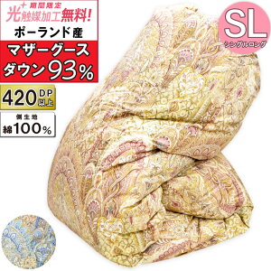 yRۖhLHz{ bB HтӂƂ |[hY zCg}U[O[X_E93 VOOTCY DP420 CS[hx n 100  wLg ~p H