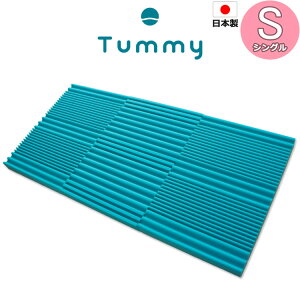 y|Cg20{zTummy Qi}bgX VOi95×195×8cmjʋCyzÿUz ~zc ~ӂƂ zc ԂƂ [ RpNg O܂ l@