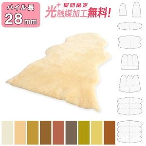 yRۖhLG}z}X_ [gt[X pC28mm I[XgAY XvO gp { Ђ r E[ [g V[c NbV tA rO J[yb