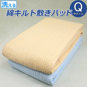 ȃLg~pbh NC[ Q 160×205cm 􂦂 @OK ې EHbVu 100 LeBO 炩 pbh