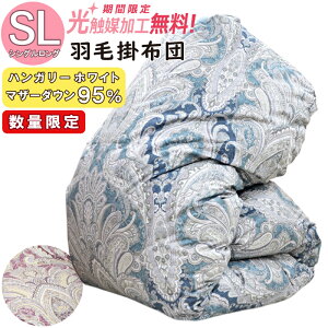 yʌz~p Hѕzc nK[Y zCg}U[_bN_E95 VOOTCY Hя[U1.2kg _Ep[440 { Hъ|zc |zc HтӂƂ