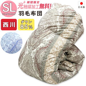 y2500~G}Hz Hѕzc _bN_E85 DP350 SL VOO ~pHъ|zc Hъ|zc Hъ|zc ӂƂ HтӂƂ _bN_E ӂ { Hъ|