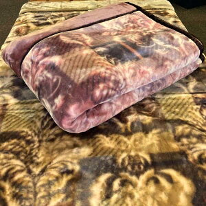 @|GXeѕz iVOj2킹ѕz@ WS1277@