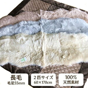 �j�`���@���[�g���t���[�X�@���сi�ё�55mm�j2�C��