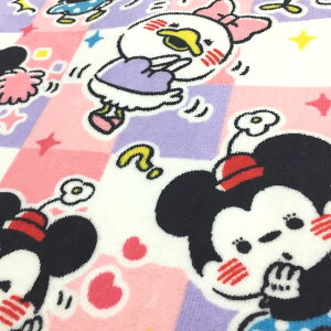 tFCX^IisN̂݁jfBYj[×JiwC wfVXx Disney