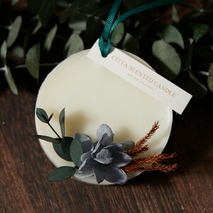 y̓10%OFFN[|z ̓I A}bNXTVF A}TVF A}bNX TVF {^jJTVF A}bNX TVFLbg {^jJ A}bNX TV