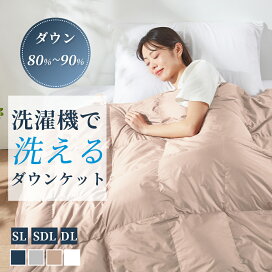 楽天市場】☆衝撃プライス☆ 羽毛布団 夏用 ダウンケット 夏用 ダブル 
