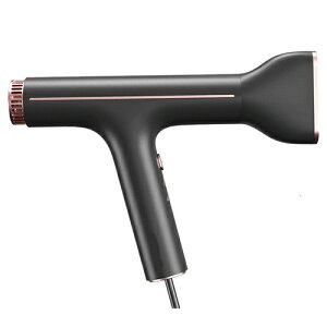 �h���C���[ �啗�� �y�� �s�݌ɂ���t�A�C�l�N�X �X�}�[�g�E�H�[�^�[�C�I���w�A�h���C���[ �R���p�N�g BLDC���[�^�[�𓋍� �ő啗�� AX-HD1 ���K�i �ۏؕt�y�C�I���h���C���[�z