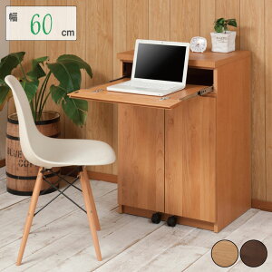 yAlderzVR؃A_[ PCfXN Lrlbg 60cm