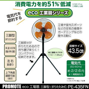 yVizy[J[Kiz yH⎺X|[cȂǂŊzv[g ecoH Or^ 43.5cmH d͂51ጸ yH@z