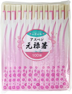 ԓa AXy\ 100V [  AXy |v VR \ ܓ ܕt ]