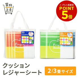 【まとめ買いで送料無料】クッションレジャーシート 2畳サイズ 3畳サイズ [レジャーシート シート アウトドア 行楽 ピクニック 花見]