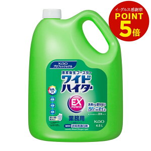 ԉ ChnC^[EXp[ 4.5L [nC^[ ChnC^[ u[` Y ߗpY l L  R Ɩp]