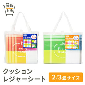 【まとめ買いで送料無料】クッションレジャーシート 2畳サイズ 3畳サイズ [レジャーシート シート アウトドア 行楽 ピクニック 花見]