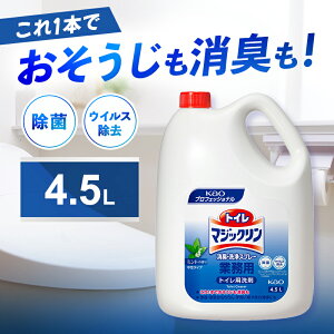 ԉ gC}WbNLEXv[ 4.5L Ɩp [gCp A ֍ N[i[ | |  L  l]