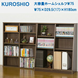 eʃz[VFt gi W75 W75×D29.5i17j×H180cm NVI y{IEeʁz