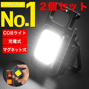 y2Zbgz COB LED Cg d RpNgCg  ~jCg O h [d Ɠ Typec[d nfBCg 800[ Jri }Olbg USB[d hЃCg Lv