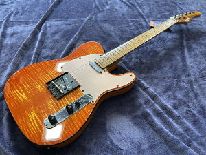 LUXARS S-G27-HB BK eLX^[ eLX telecaster M^[ GLM^[ GL guitar guitalist  black nj[o[Xg IW @ y y music