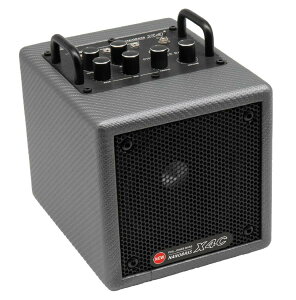 �y100�����J���[�z Phil Jones Bass �t�B���W���[���Y NANO BASS X4C Carbon Silver BASS �x�[�X�A���v �A���v �~�j �R���p�N�g �x�[�X ���K ���� �p�t�H�[�}���X �J�[�{�� �V���o�[ �@�� ���y ����i music 