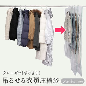 吊るせる 衣類 圧縮袋 ショート 110cm ハンガー 吊り下げ収納 吊るす 衣類用 衣類保管 湿気対策 ほこり対策 バルブ付き コート ダウンジャケット スキーウェア 2枚 KP 送料無料