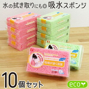 KLPセルローススポンジ10個セット