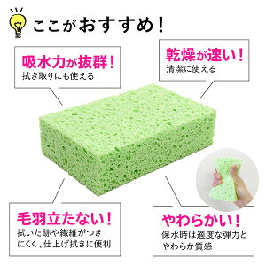 KLPセルローススポンジ10個セット
