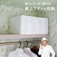クローゼット 収納 棚 ケース 棚上 収納袋 棚上収納 衣類収納袋 収納ケース 不織布 棚上収納袋 クローゼ…