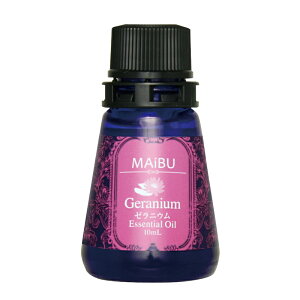 nzjR }Cu GbZVIC [s[ [jE [YjE nzjRnbs[Ct nhXp tbgXp A}oX yK戵Xzy v[g Mtg z